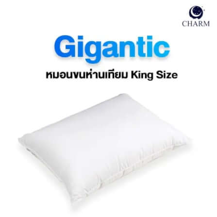  หมอนหนุน Charm King Size ขนห่านเทียม ขนาด 25 x 35 นิ้ว _1